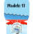 Modelo 13