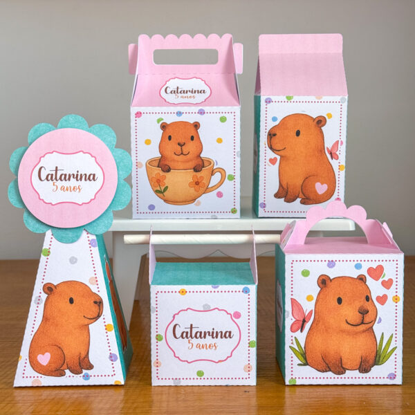 Festa Capivara