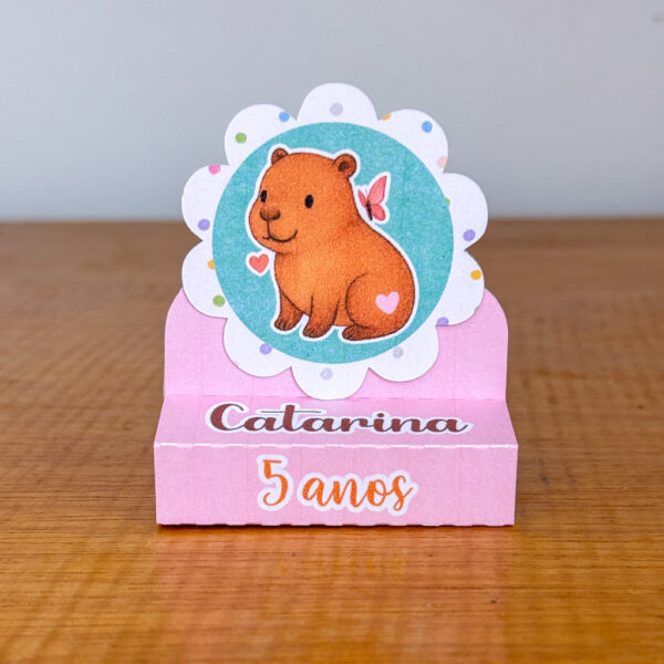 Festa Capivara - Imagem 10