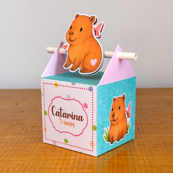 Festa Capivara - Imagem 6