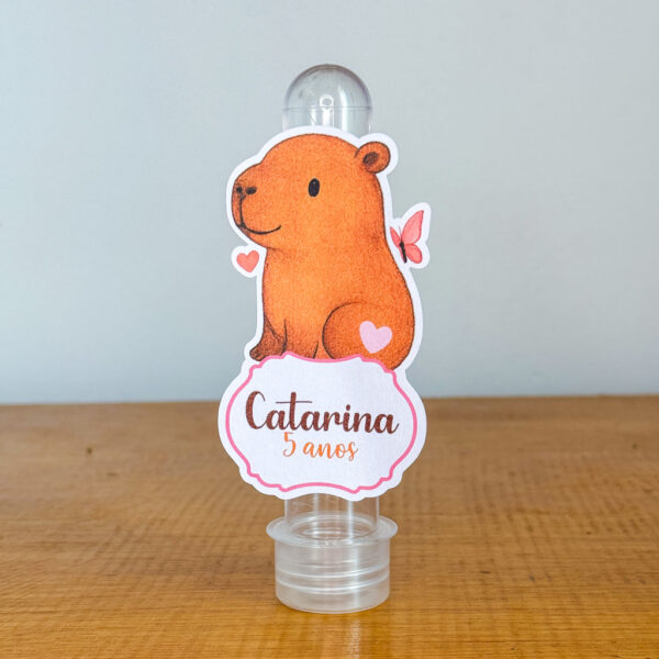 Festa Capivara - Imagem 4