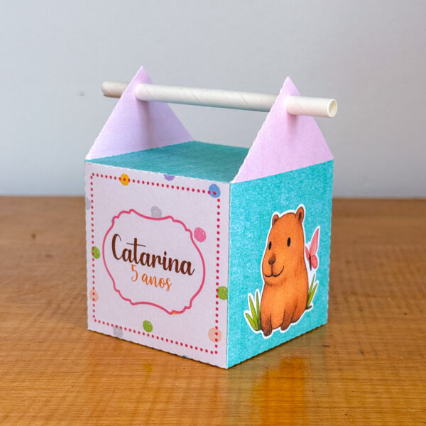 Festa Capivara - Imagem 16