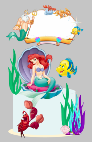 Topo Ariel